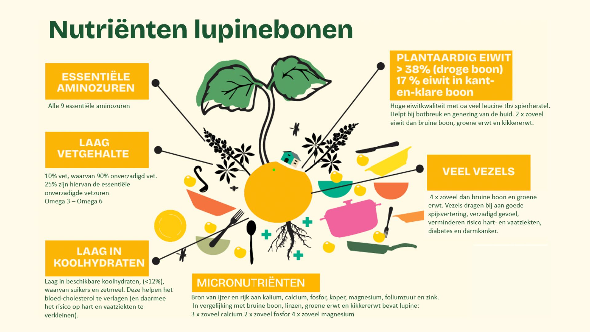 Waarom Lupine? 