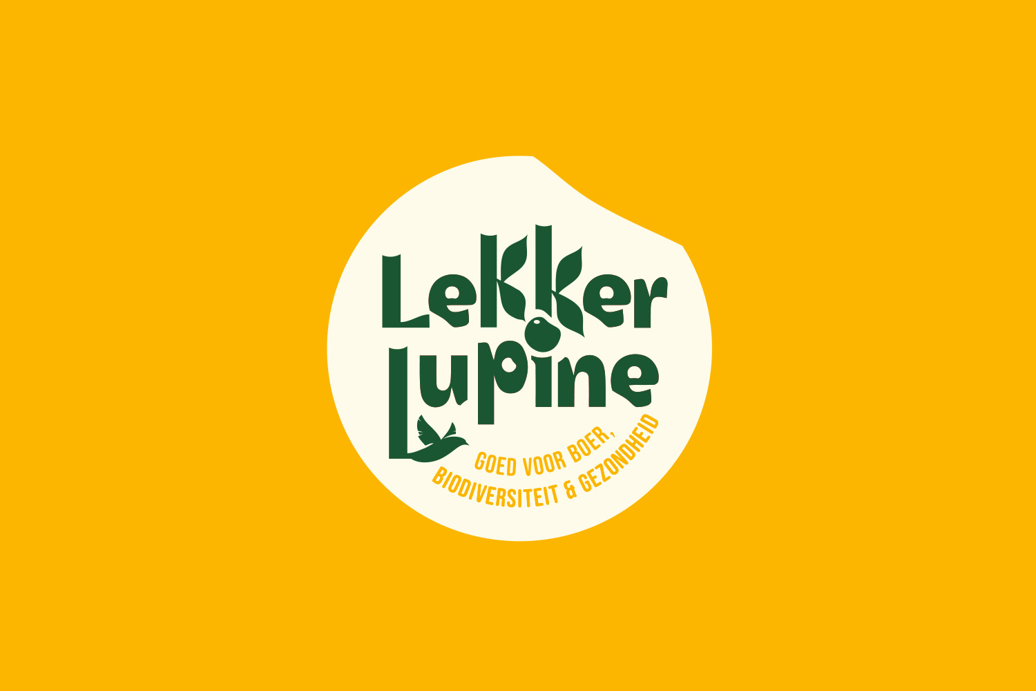 Lekker Lupine
